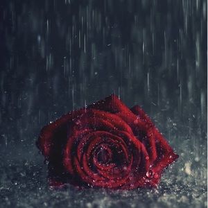 Meet your Posher, Sage